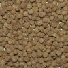 NorthFin Cichlid Formula (3mm sinking pellet) - 250 grams