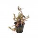 Rotala rotundifolia 'Rainbow' - potted Rotala rotundifolia 'Rainbow' - potted