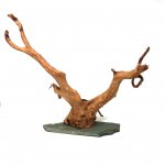 Wood Wood