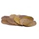 Indian Almond Leaves - pack of 10 A Grade Leaves Indian Almond Leaves - pack of 10 A Grade Leaves